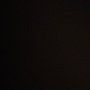 Meet your Posher, Rachelle